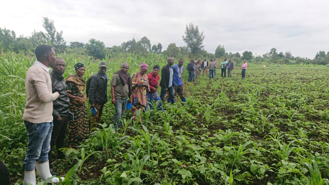 Agriculture durable